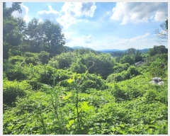  2024Ÿ33753  ֽ   790-2      (Ӿ)