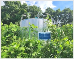  2024Ÿ33753  ֽ   790-2      (Ӿ)