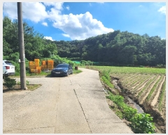  2024Ÿ33753  ֽ   790-2      (Ӿ)