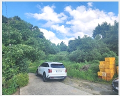  2024Ÿ33753  ֽ   790-2      (Ӿ)