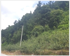  2024Ÿ33876  ֽ ̸  39      (Ӿ)