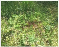  2024Ÿ33876  ֽ ̸  39      (Ӿ)