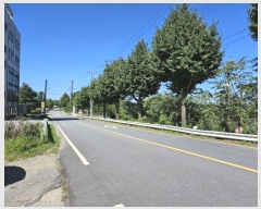  2024Ÿ��33906 ��� ���ֽ� ���¸� ����� 10-3      �������