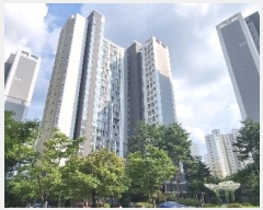  2024Ÿ33951   ͵ 翹 20, 207 161605ȣ (ֿ뿹)   Ʈ