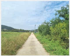  2024Ÿ��34213  ����