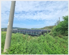  2024Ÿ��34213  ����