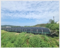  2024Ÿ��34213  ����