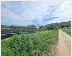  2024Ÿ��34213  ����