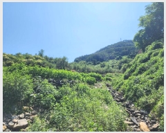  2024Ÿ��34381 ��� ���ֽ� ���ε� 888-2       ����(��1)���