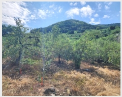  2024Ÿ��34381 ��� ���ֽ� ���ε� 888-2       ����(��1)���