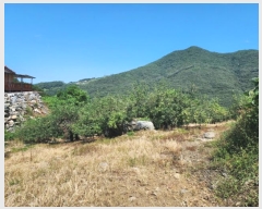  2024Ÿ��34381 ��� ���ֽ� ���ε� 888-2       ����(��1)���