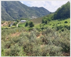  2024Ÿ��34381 ��� ���ֽ� ���ε� 888-2       ����(��1)���