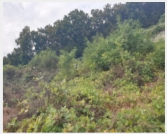  2024Ÿ35100   Ｚ 뼺 552-6      (1)