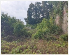  2024Ÿ35100   Ｚ 뼺 552-6      (1)