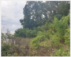  2024Ÿ35100   Ｚ 뼺 552-6      (1)