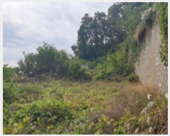  2024Ÿ35100   Ｚ 뼺 552-6      (1)