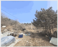  2024Ÿ35407  ֽ ҿ ź븮 50      (Ӿ)