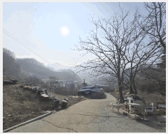  2024Ÿ35407  ֽ ҿ ź븮 50      (Ӿ)