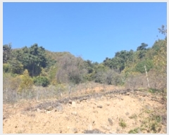  2024Ÿ35407  ֽ ҿ ź븮 50      (Ӿ)