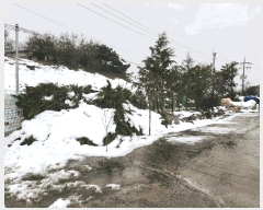  2024Ÿ35698   Ҹ » 23-14      