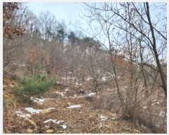  2024Ÿ��35933  ���ð��