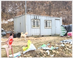  2024Ÿ��35933  ���ð��