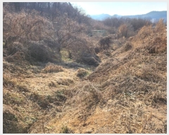  2024Ÿ��36042 ��� ���ֽ� ȣ�ϵ� ��15-3       ����(�Ӿ�)���