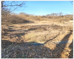  2024Ÿ36103  ֽ   1317-6      (1)