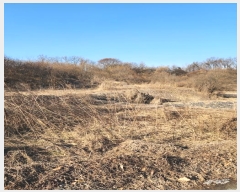  2024Ÿ36103  ֽ   1317-6      (1)