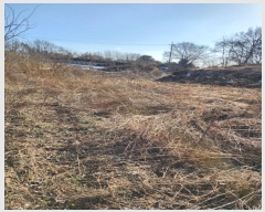  2024Ÿ36103  ֽ   1317-6      (1)