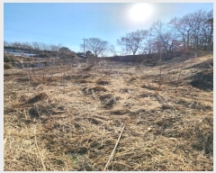  2024Ÿ36103  ֽ   1317-6      (1)