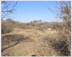  2024Ÿ36103  ֽ   1317-6      (1)