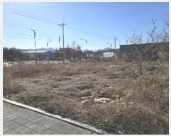  2024Ÿ��36134 ��� ���ֽ� ��ҿ��� ���� 1113      ����(����)���