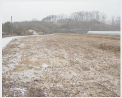  2024Ÿ��36233  ����