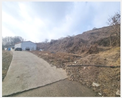  2024Ÿ��36264  �����