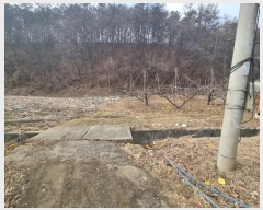  2024Ÿ��36264  �����