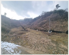  2024Ÿ��36264  �����