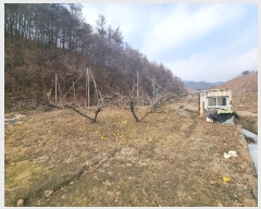  2024Ÿ��36264  �����