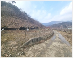  2024Ÿ��36264  �����