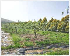  2024Ÿ��1152 ��� ���ֽ� ����� 143-1       ����,â�����