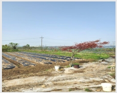  2024Ÿ��1152 ��� ���ֽ� ����� 143-1       ����,â�����