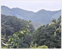  2024Ÿ��2889  ����