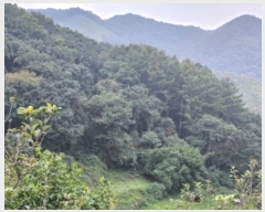  2024Ÿ��2889  ����