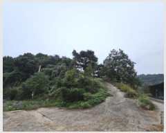  2024Ÿ��2889  ����