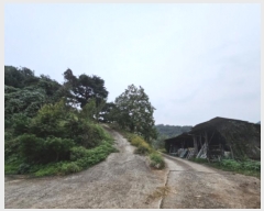  2024Ÿ��2889  ����