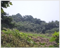  2024Ÿ��2889  ����