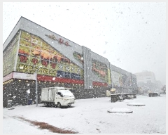  2024Ÿ��3356 ��� ������ �͵��� ����2�� 41, 1��113ȣ (���Ϻ���)    ��,�繫�ǰ��