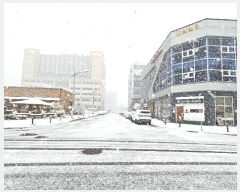  2024Ÿ��3356 ��� ������ �͵��� ����2�� 41, 1��113ȣ (���Ϻ���)    ��,�繫�ǰ��