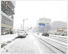  2024Ÿ��3356 ��� ������ �͵��� ����2�� 41, 1��113ȣ (���Ϻ���)    ��,�繫�ǰ��