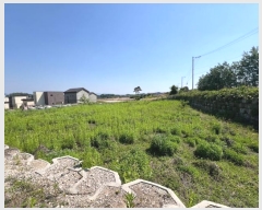  2024Ÿ��32323 ��� ������ ��Ҹ� �Ҽ��� 262      ���ð��